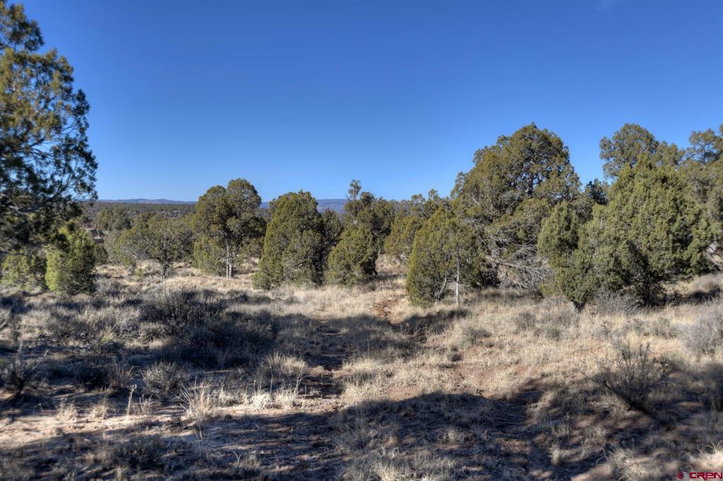 Tbd Vista De La Plata Circle Property Photo 6