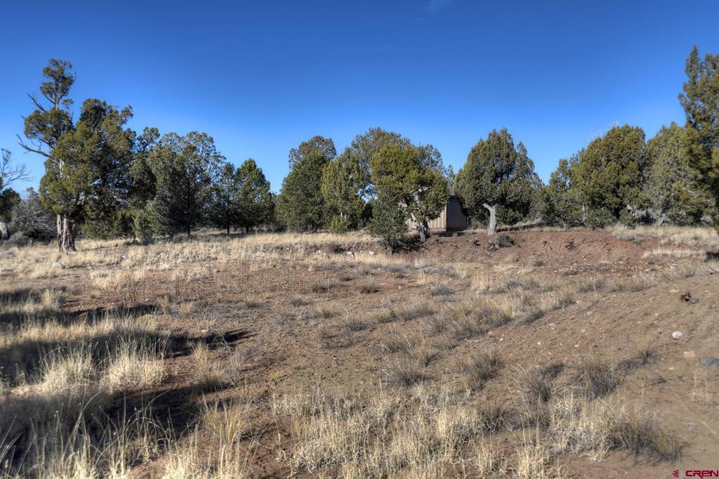 Tbd Vista De La Plata Circle Property Photo 7