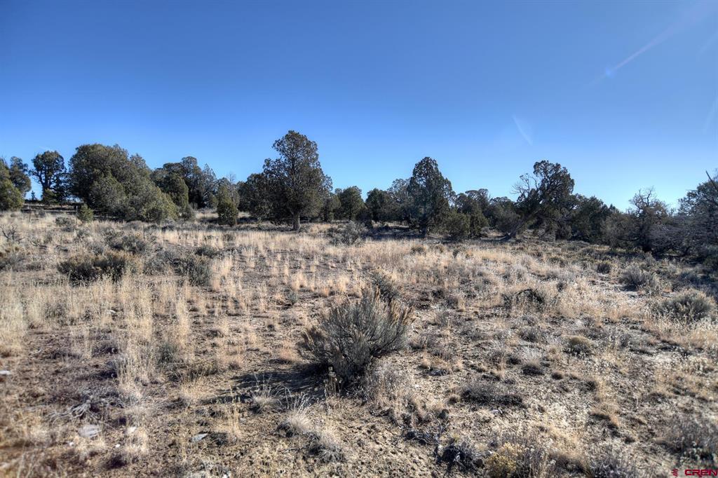 Tbd Vista De La Plata Circle Property Photo 8