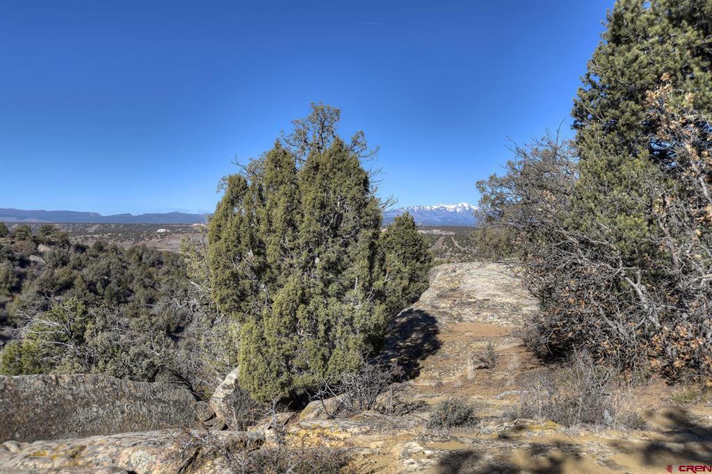 Tbd Vista De La Plata Circle Property Photo 9