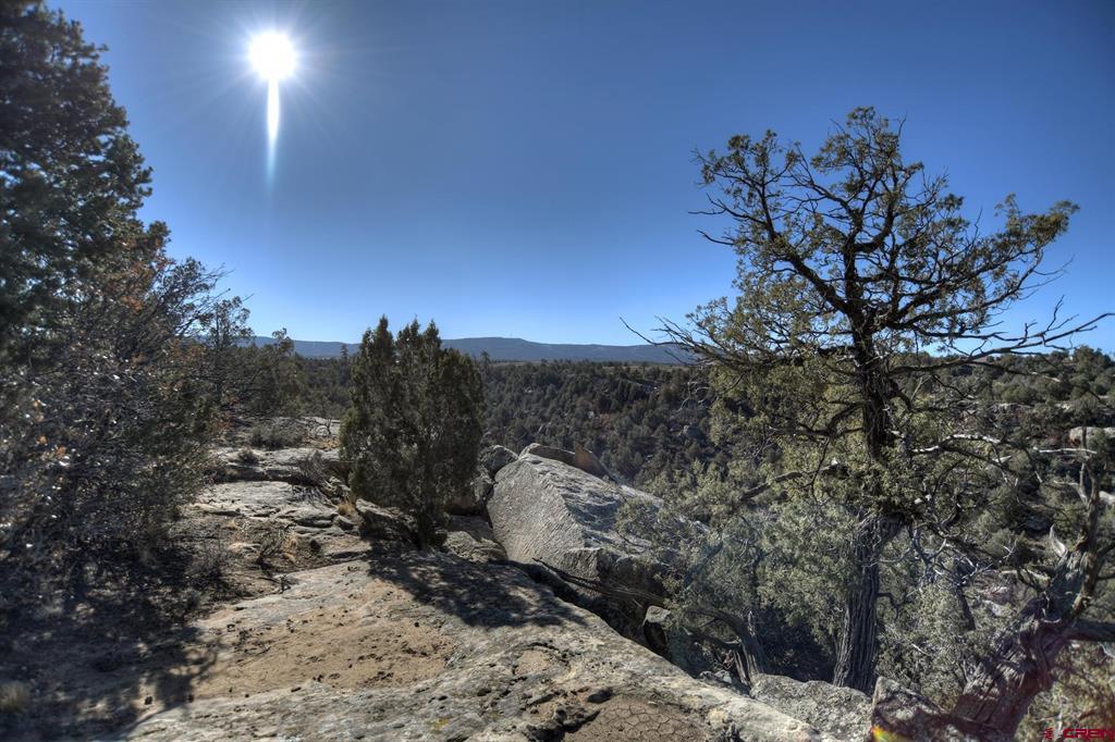Tbd Vista De La Plata Circle Property Photo 11