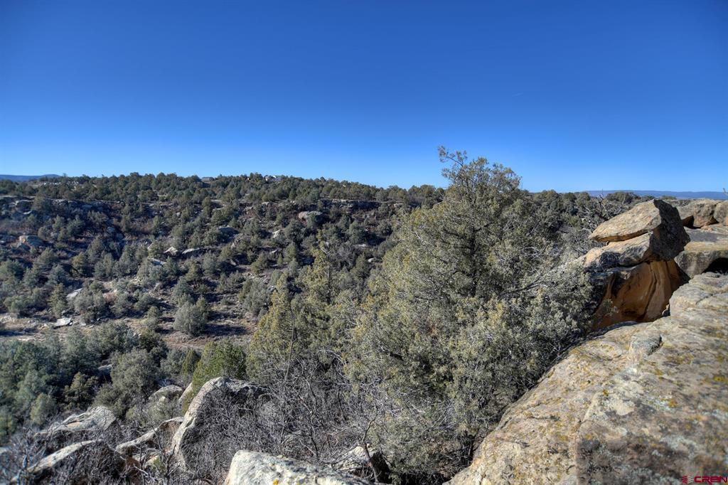 Tbd Vista De La Plata Circle Property Photo 12