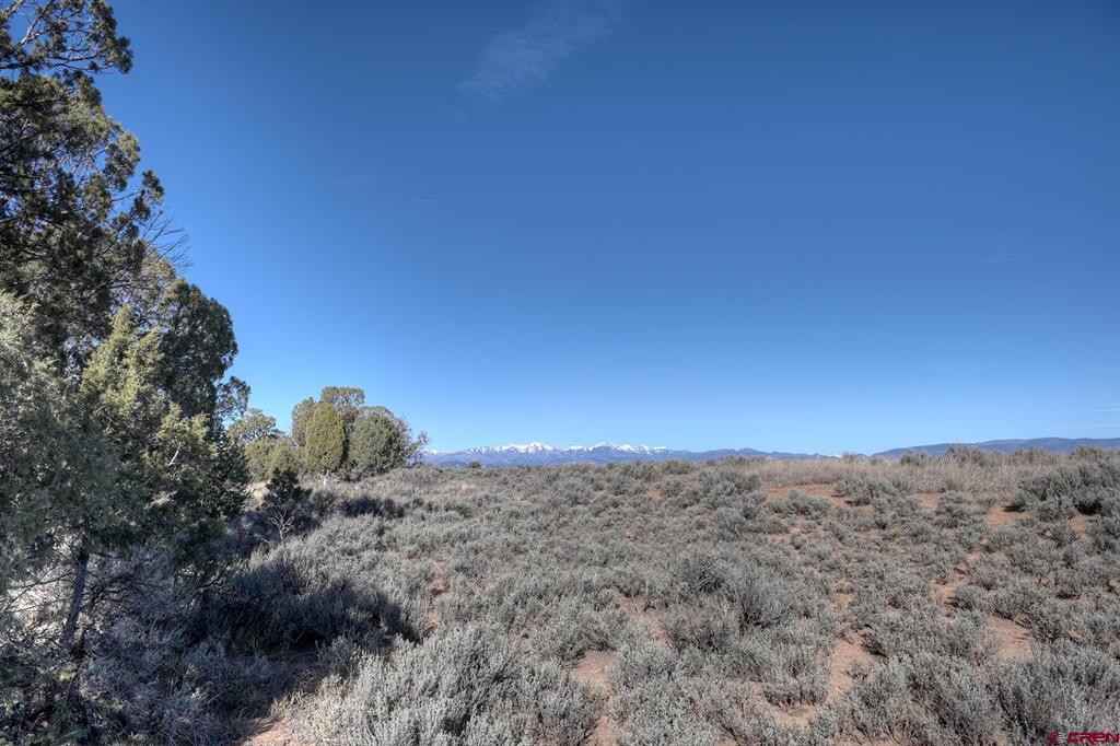 Tbd Vista De La Plata Circle Property Photo 15