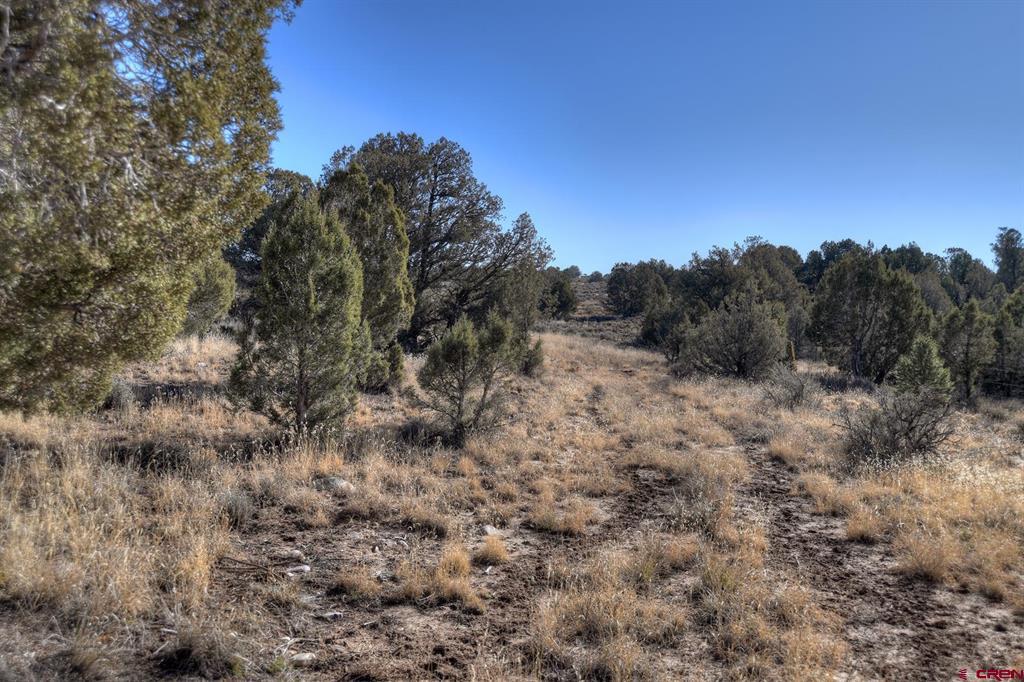 Tbd Vista De La Plata Circle Property Photo 16