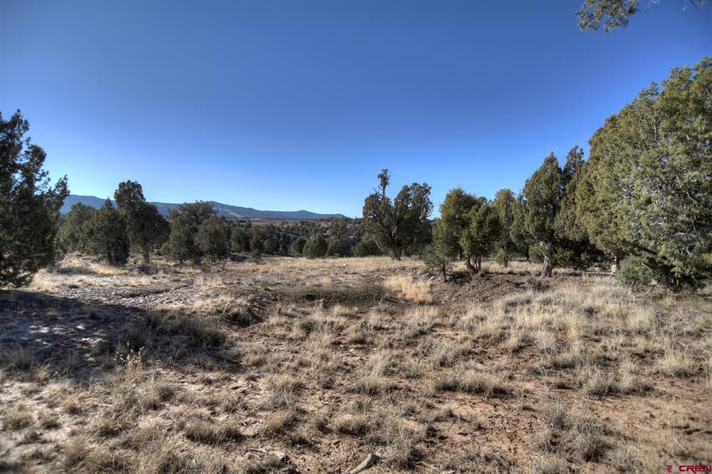 Tbd Vista De La Plata Circle Property Photo 17