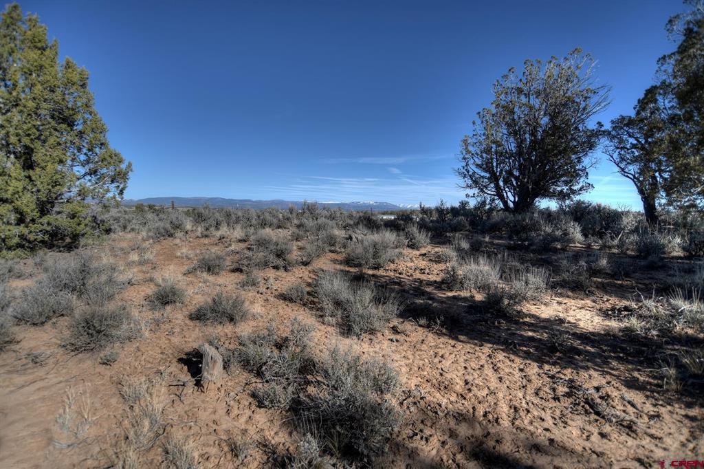 Tbd Vista De La Plata Circle Property Photo 18