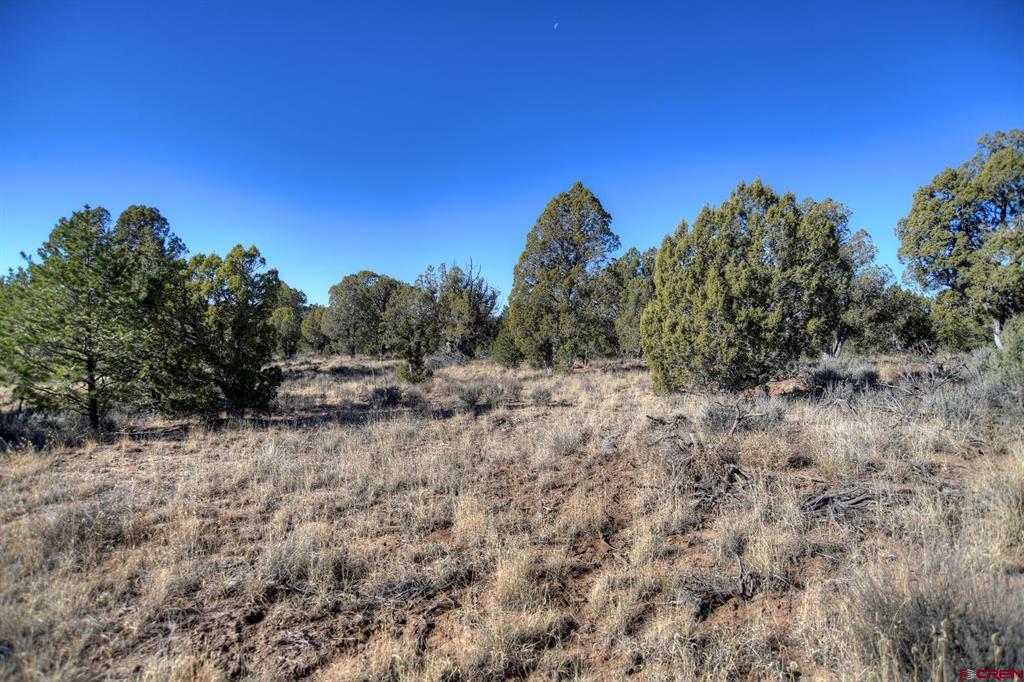 Tbd Vista De La Plata Circle Property Photo 19