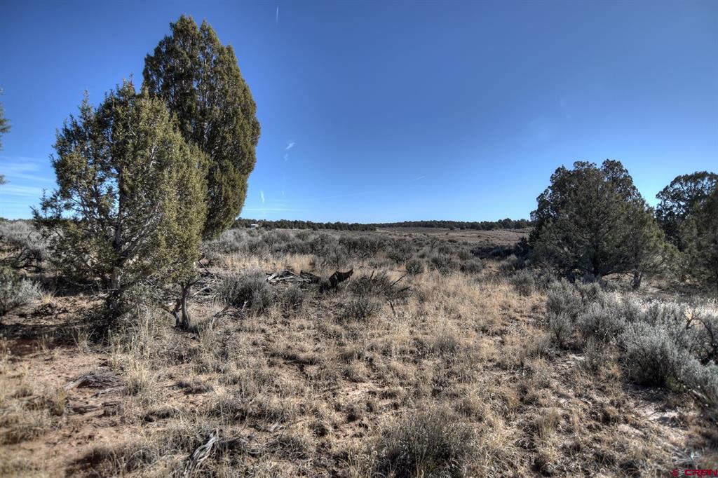 Tbd Vista De La Plata Circle Property Photo 20