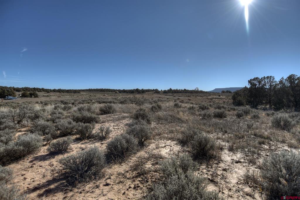 Tbd Vista De La Plata Circle Property Photo 21