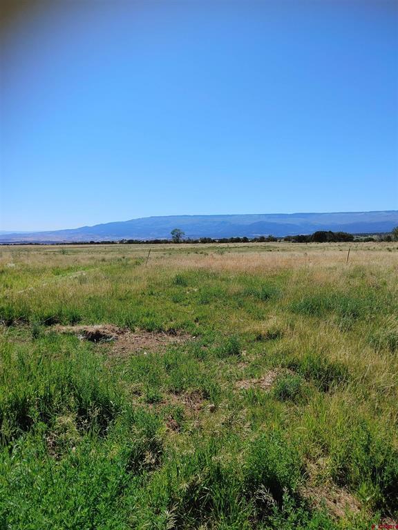 26563 Redlands Mesa Road Property Photo 12