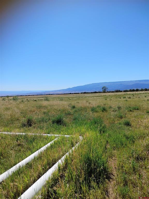 26563 Redlands Mesa Road Property Photo 13