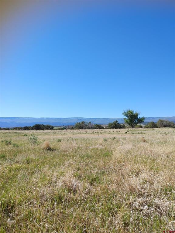26563 Redlands Mesa Road Property Photo 14