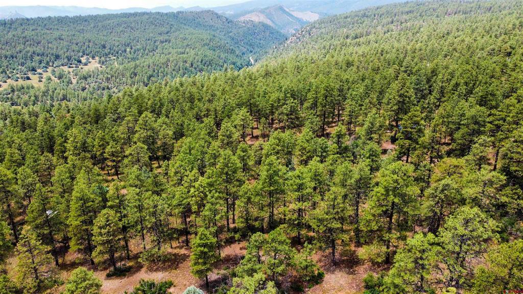 160 Far View Property Photo