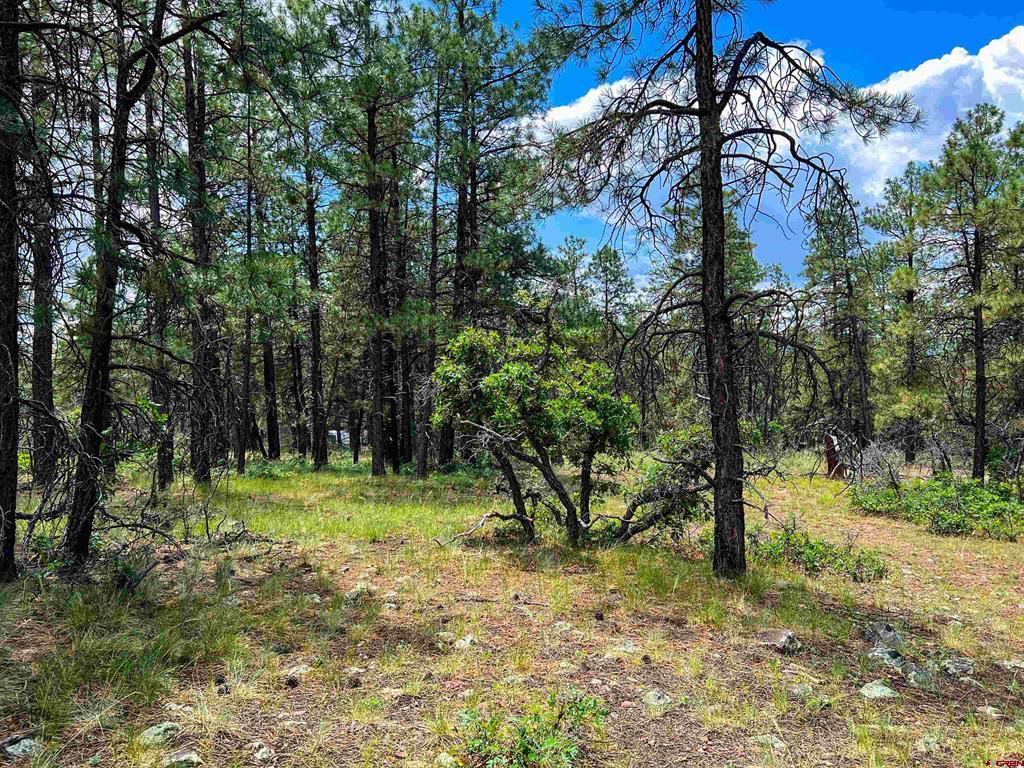 160 Far View Property Photo 1