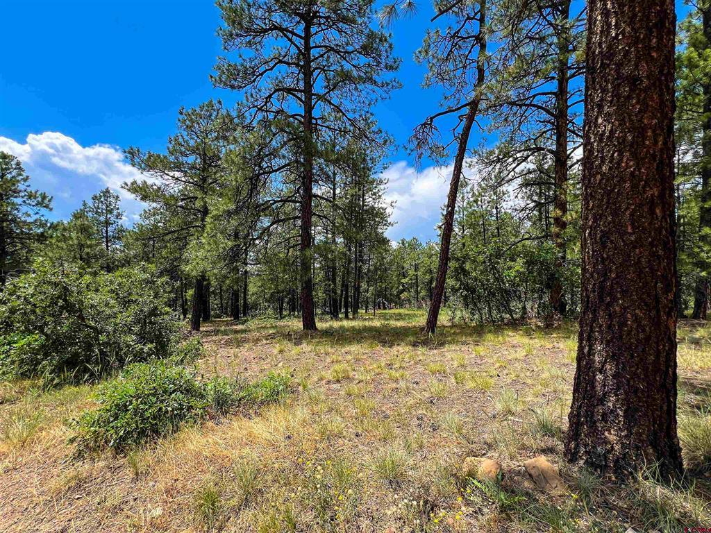 160 Far View Property Photo 3