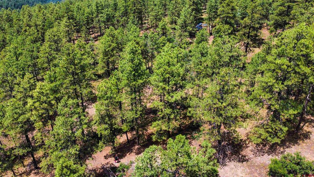160 Far View Property Photo 11