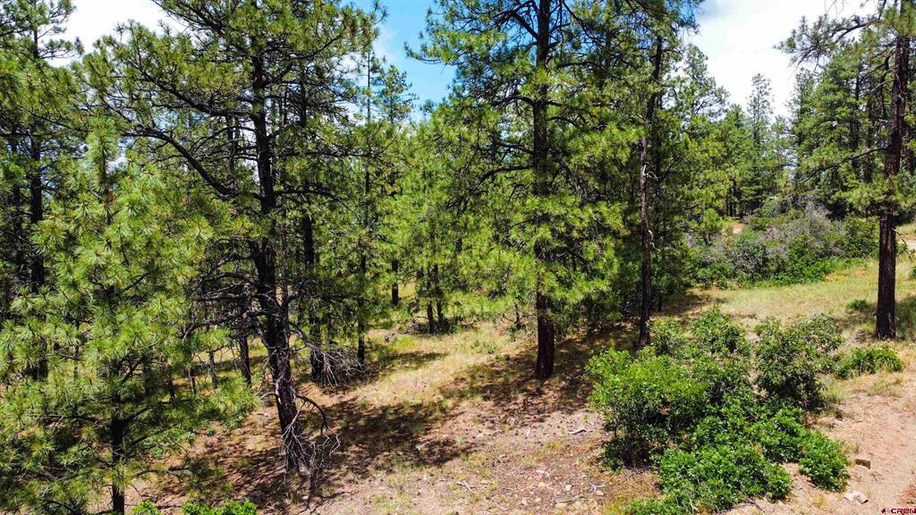 160 Far View Property Photo 12