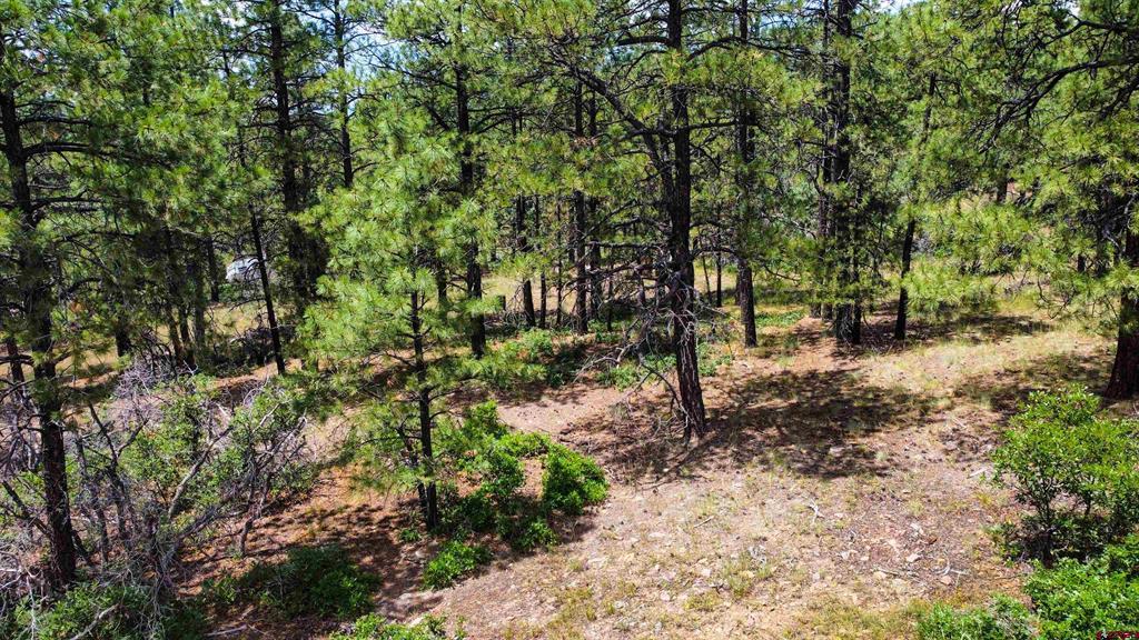 160 Far View Property Photo 13