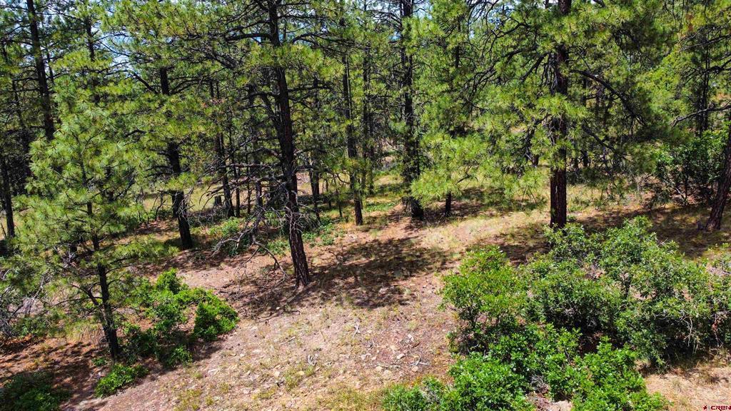160 Far View Property Photo 14
