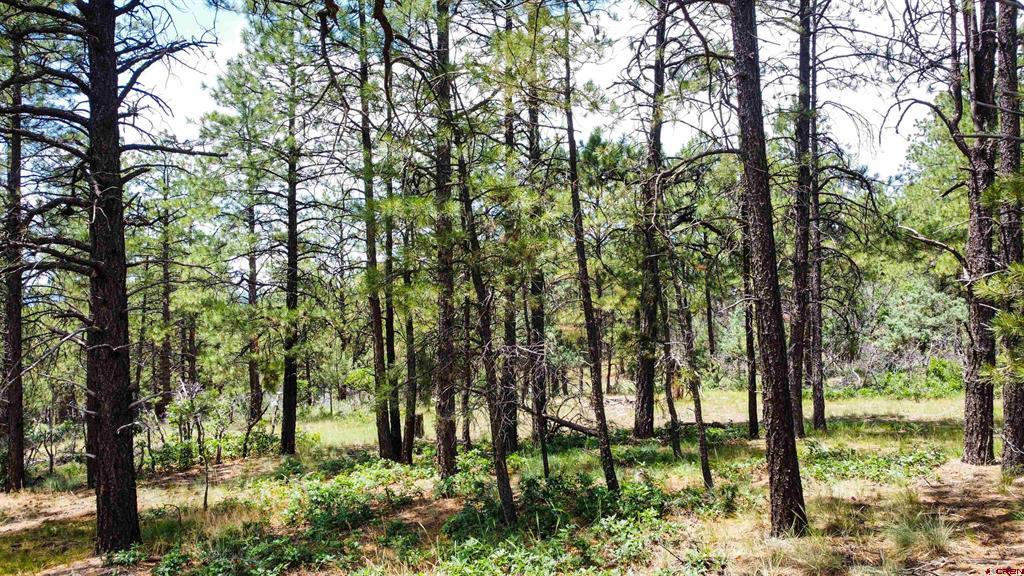160 Far View Property Photo 15