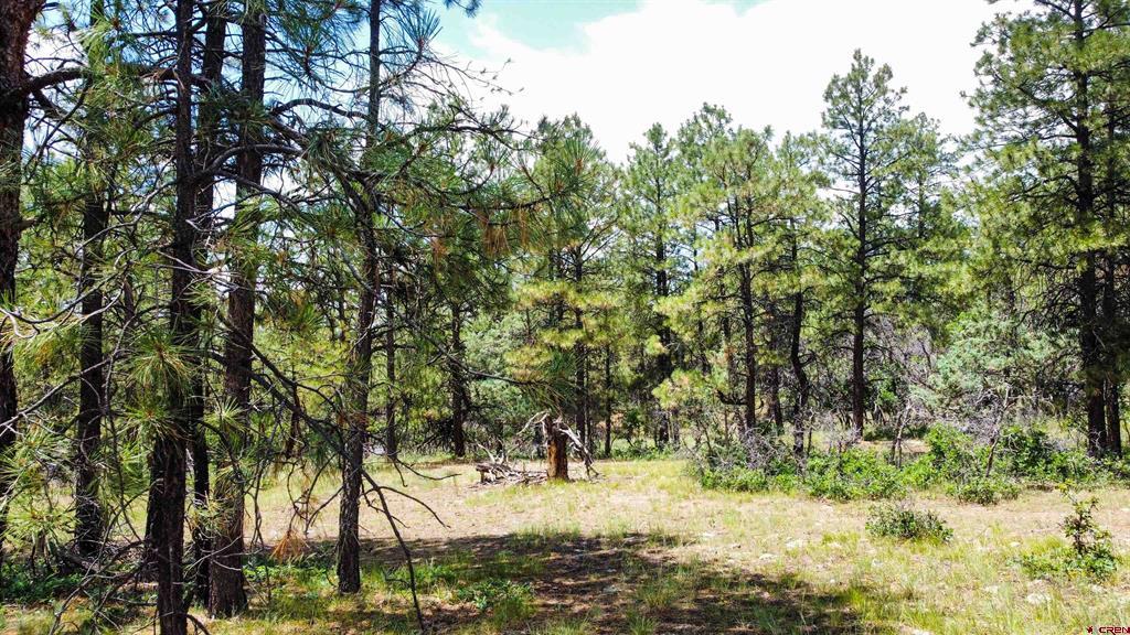 160 Far View Property Photo 16