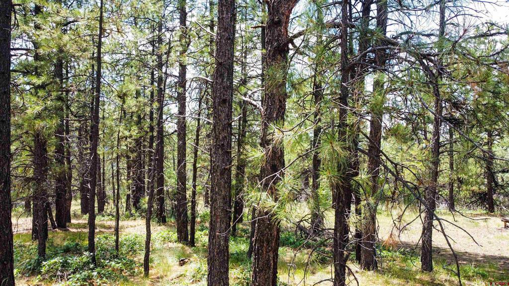 160 Far View Property Photo 17