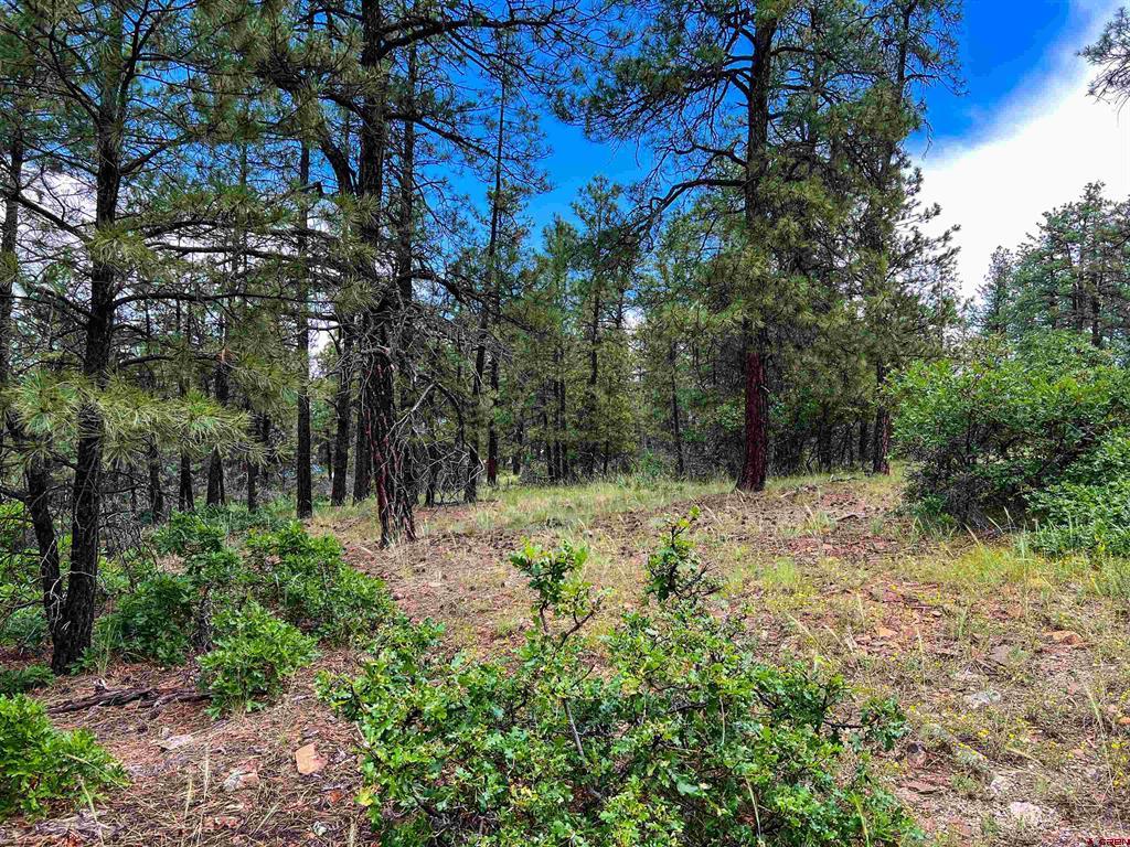 160 Far View Property Photo 20