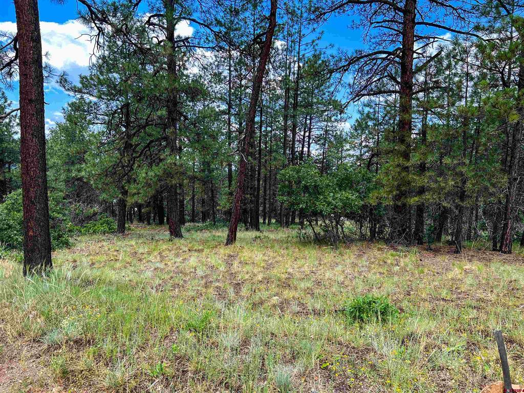 160 Far View Property Photo 21