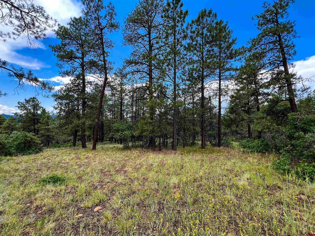 160 Far View Property Photo 22