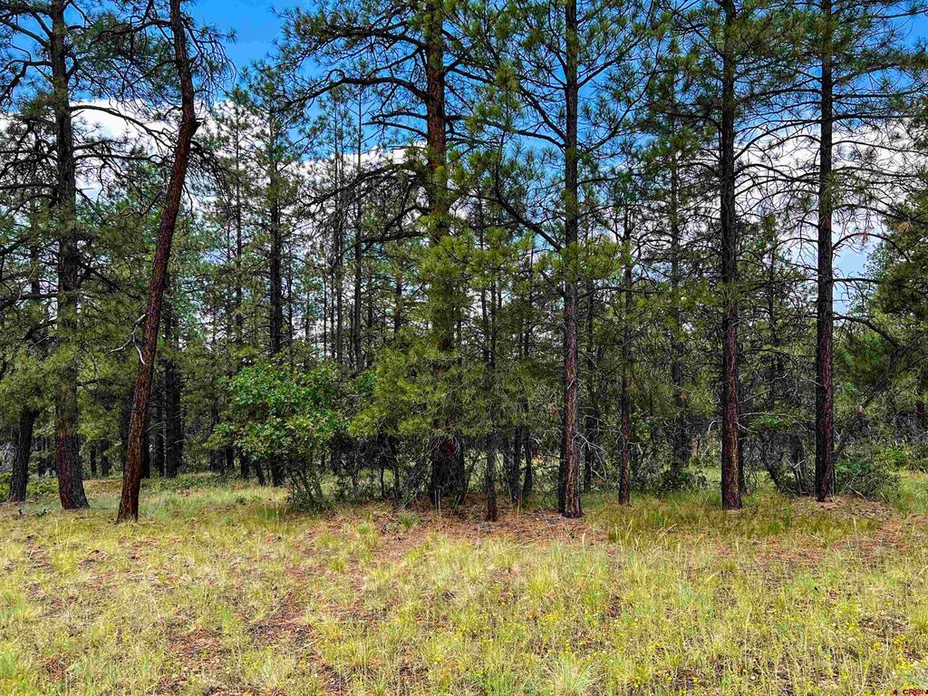 160 Far View Property Photo 23