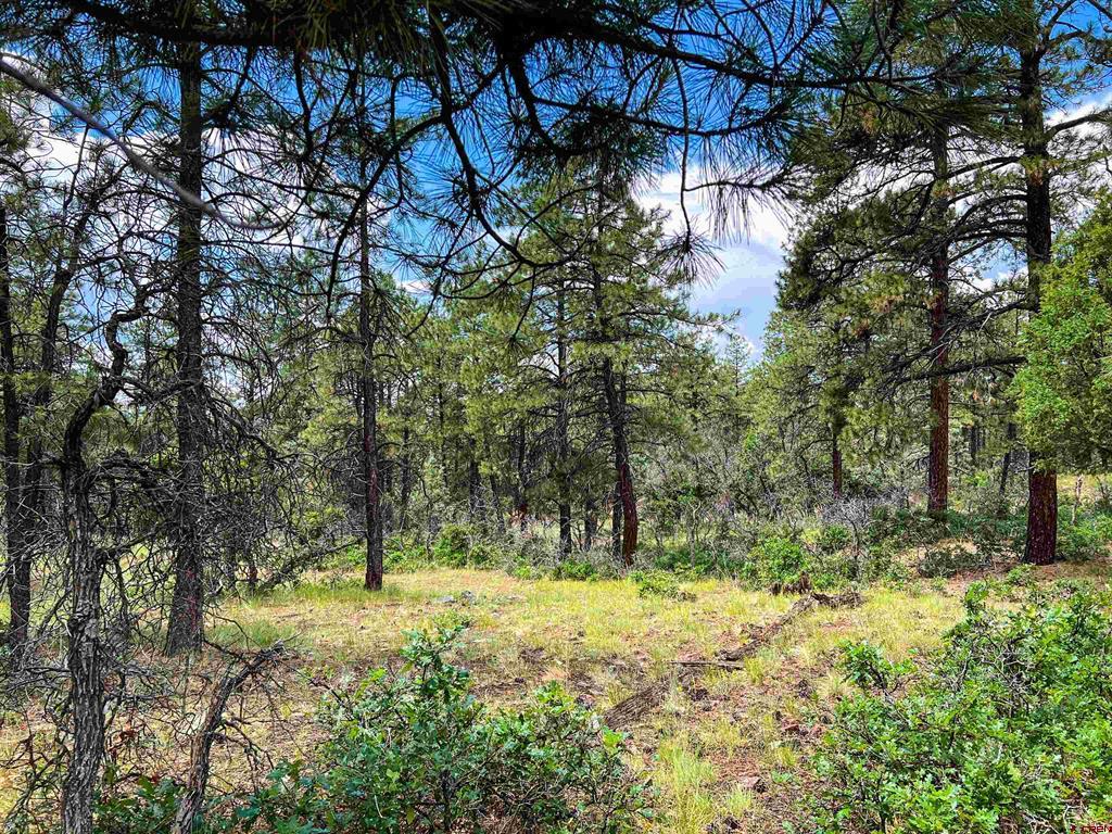 160 Far View Property Photo 24