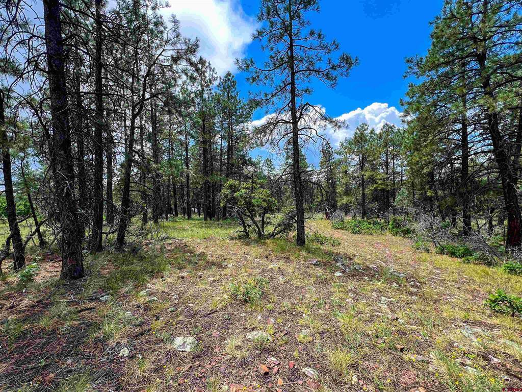 160 Far View Property Photo 25
