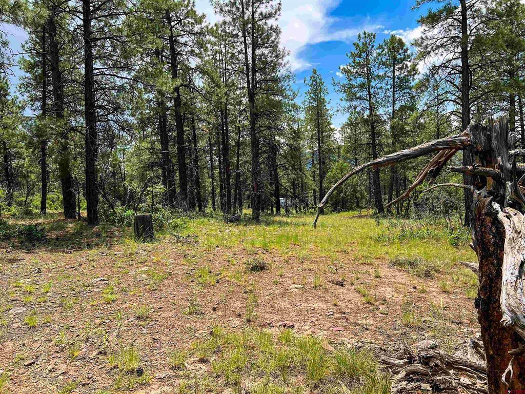 160 Far View Property Photo 26