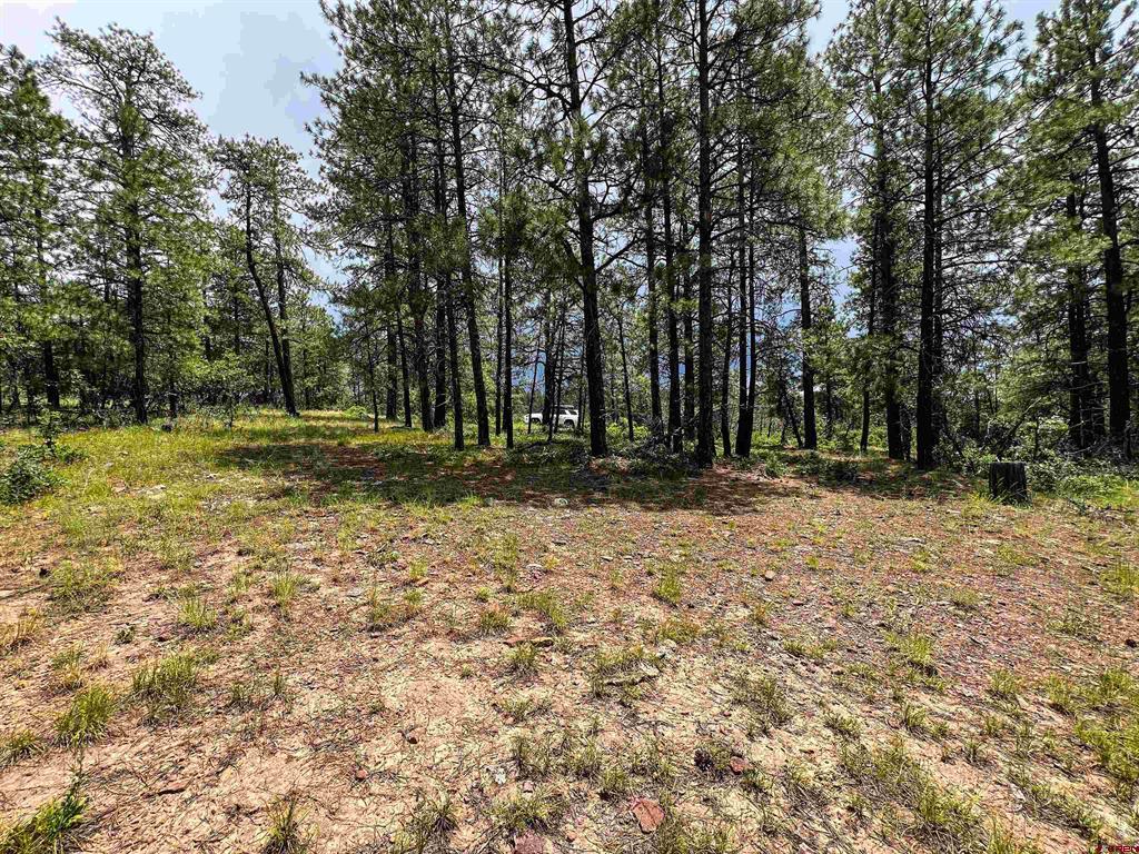 160 Far View Property Photo 27