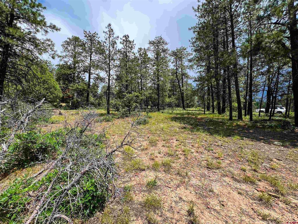 160 Far View Property Photo 28