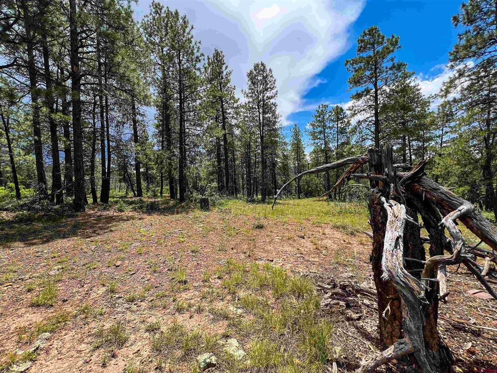 160 Far View Property Photo 29