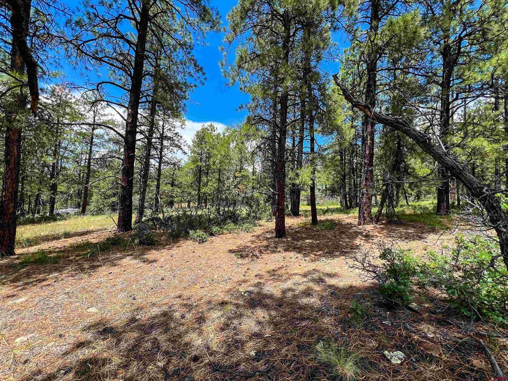 160 Far View Property Photo 30