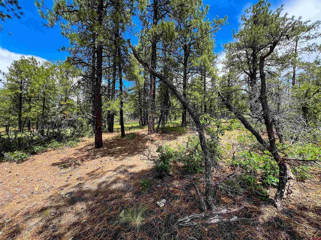 160 Far View Property Photo 31