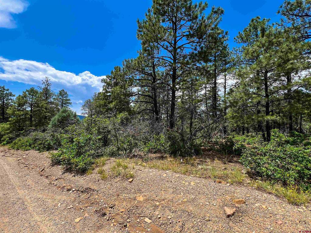 160 Far View Property Photo 32