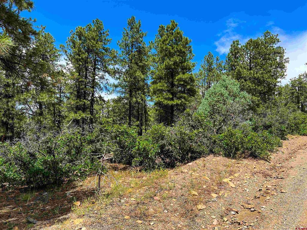 160 Far View Property Photo 33