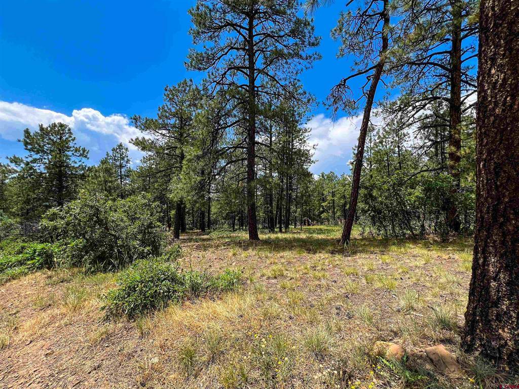 160 Far View Property Photo 34