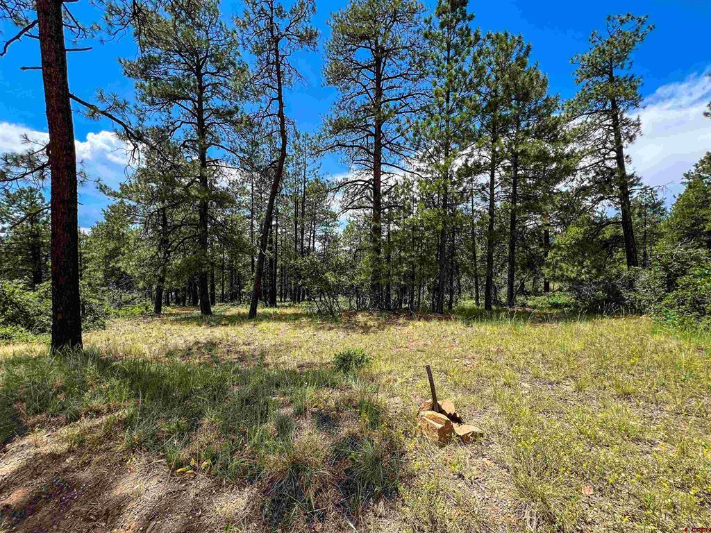 160 Far View Property Photo 35