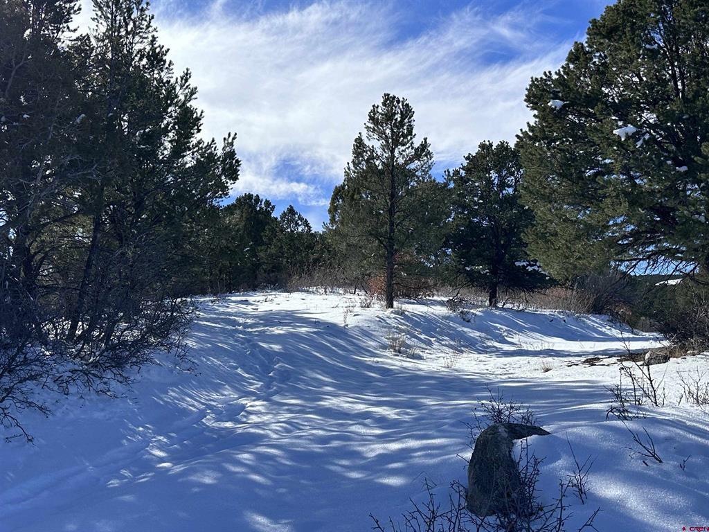 Tbd Lot 4 Pointe Escape Way Property Photo