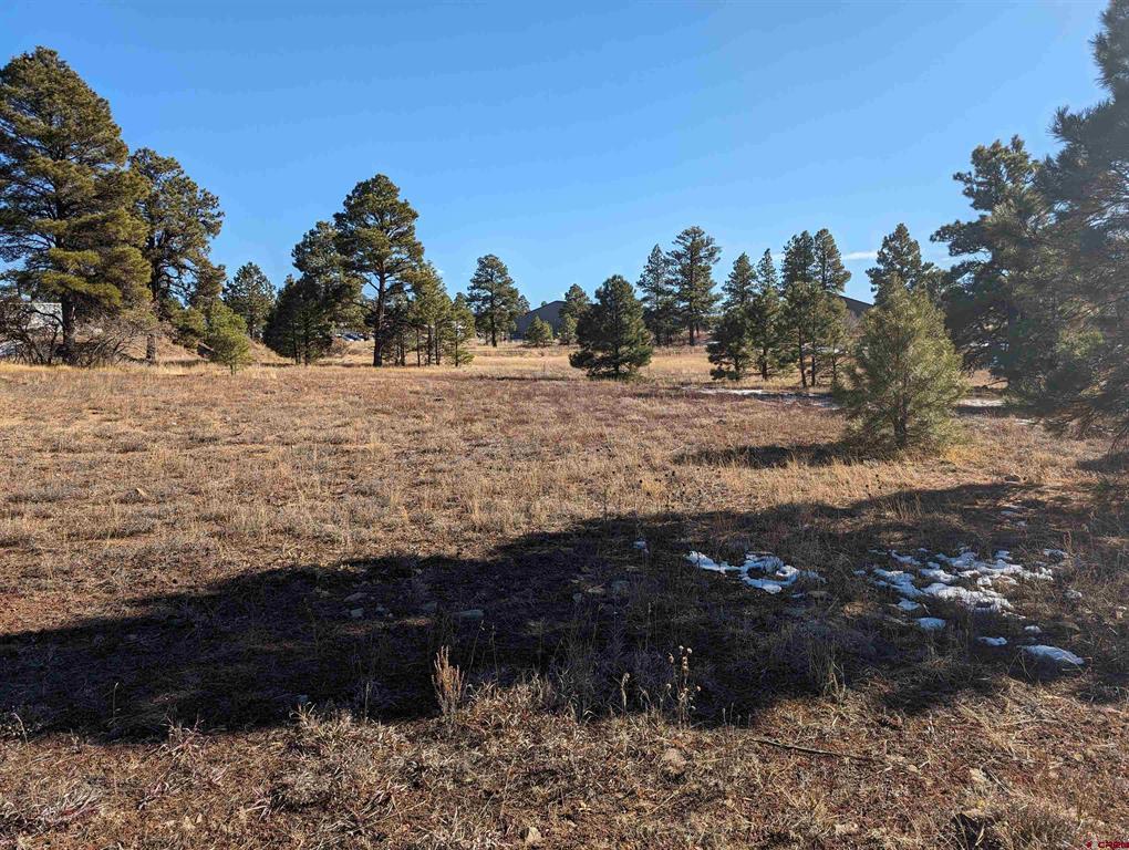 147 Park Avenue Property Photo 1