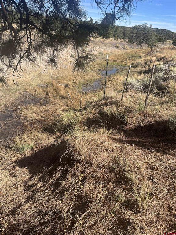 000 Forest Road 19 Road Property Photo 25