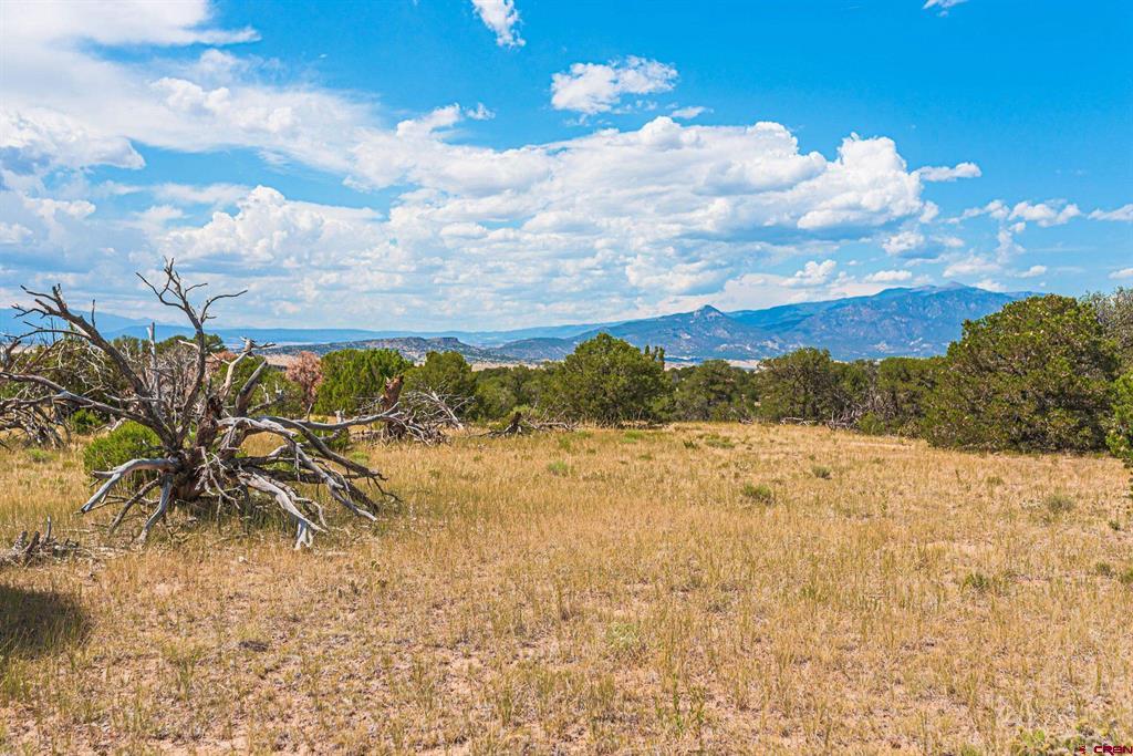 Tbd County Rd. 521 Property Photo 11
