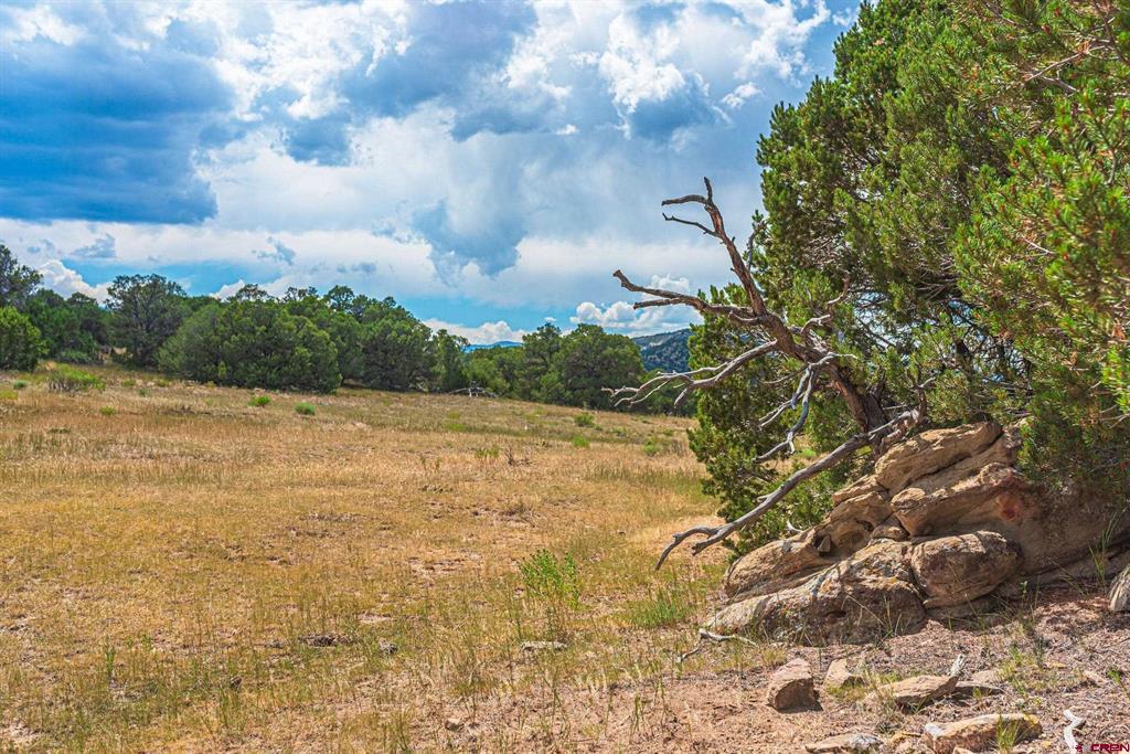Tbd County Rd. 521 Property Photo 12