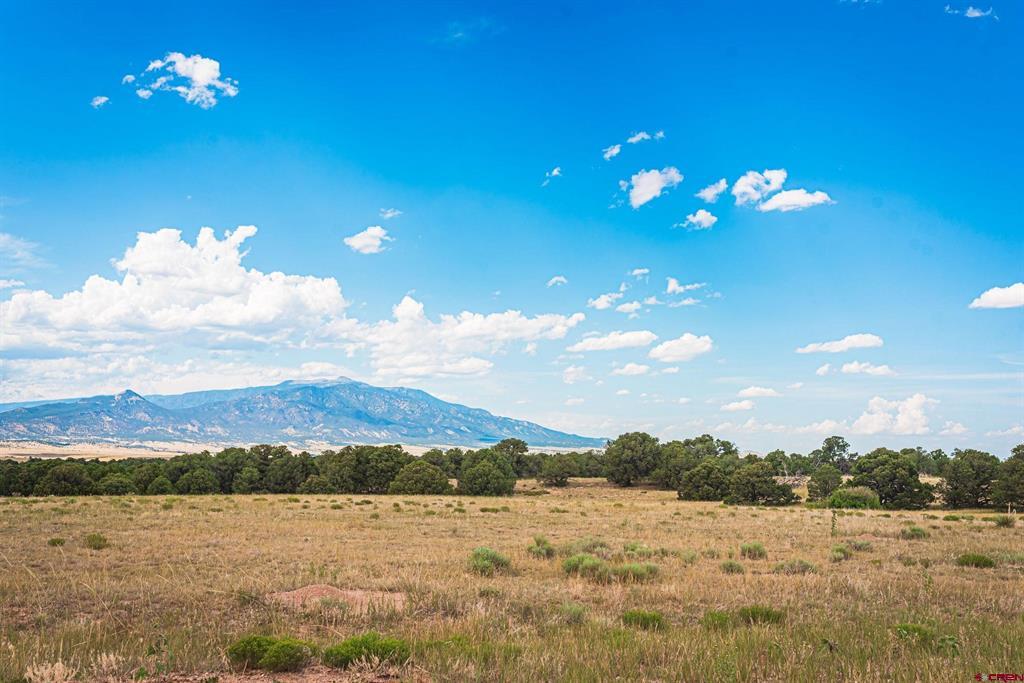 Tbd County Rd. 521 Property Photo 17