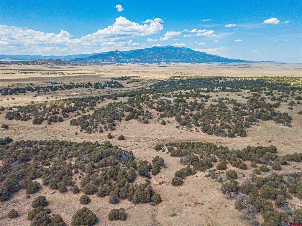 Tbd County Rd. 521 Property Photo 27