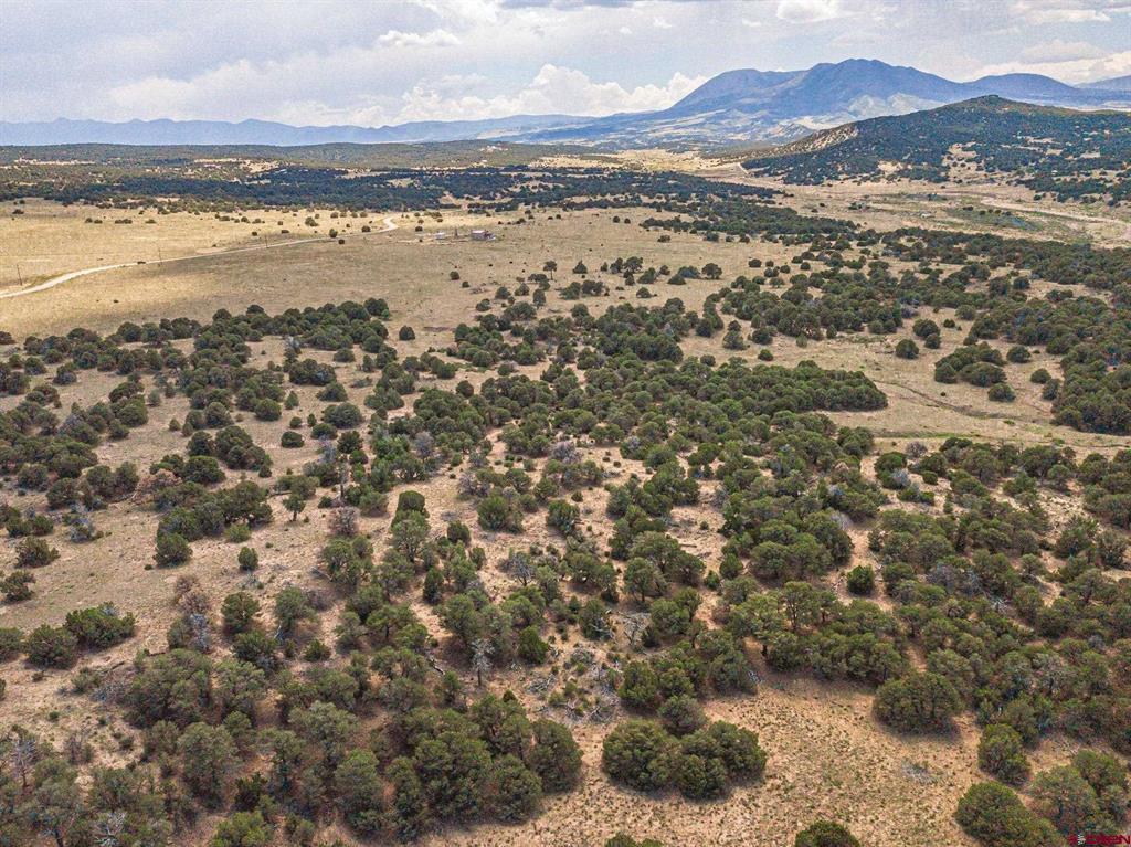 Tbd County Rd. 521 Property Photo 28